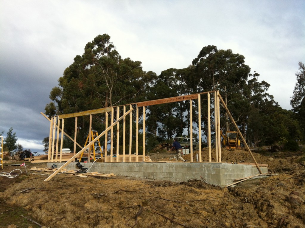 The first wall up, standing on its own (with the help of some temporary bracing)