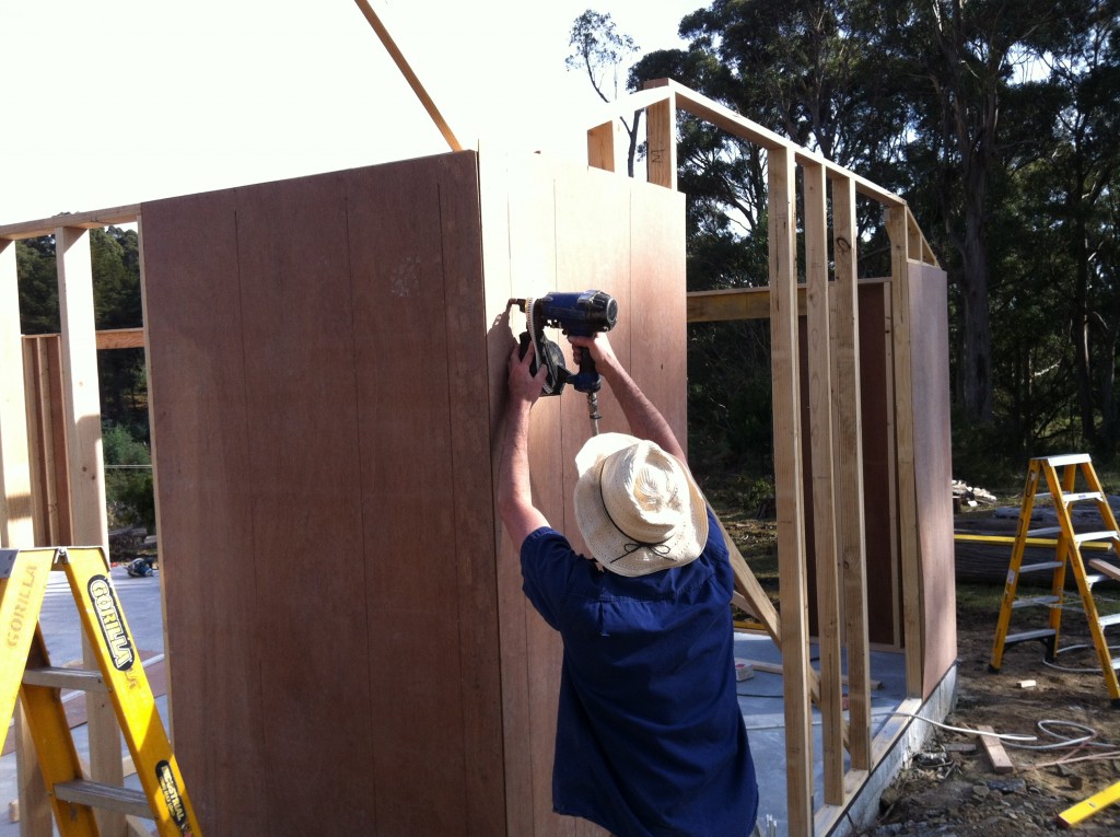 Nailed it: Pete nailing the brace ply to the corners of the wall