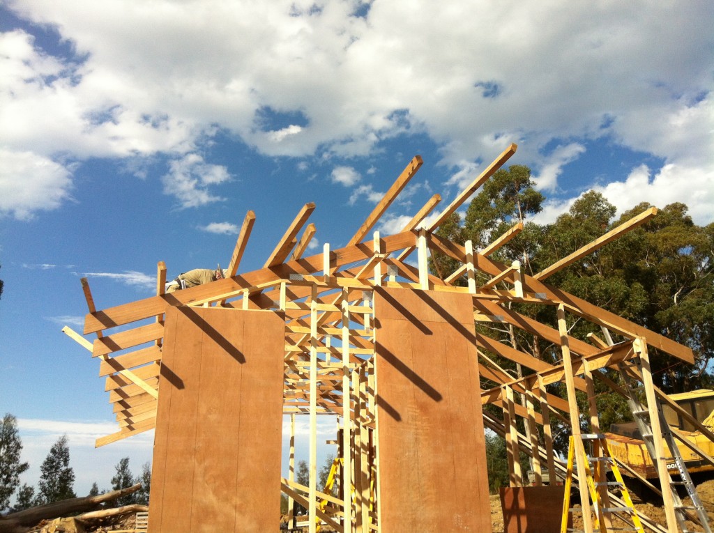 Walls up, brace ply on, trusses up and purlins on