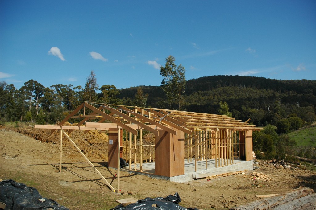 Trusses up and most purlins in place