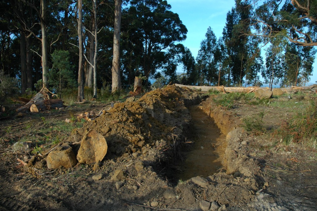 On the level: the first absorption trench following the contours of the site