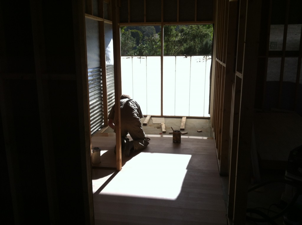 Room with a view: looking out above the temporary screen