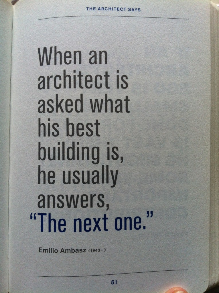 The Architect Says, by Laura Dushkes 